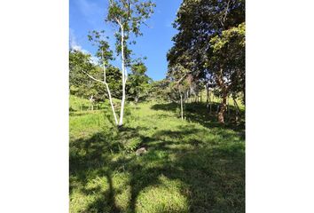 Lote de Terreno en  Pavitas, La Cumbre