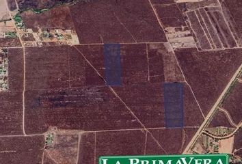 Lote de Terreno en  Infonavit Barrancos, Culiacán