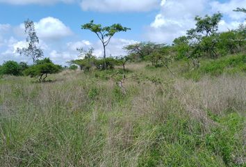 Lote de Terreno en  Temascaltepec, Estado De México