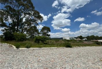 Lote de Terreno en  Amozoc Centro, Amozoc