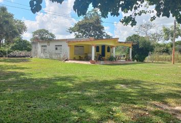 Rancho en  Calle 21, Dzilam González, Yucatán, 97600, Mex