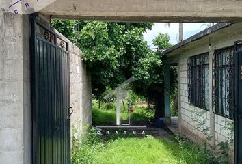 Lote de Terreno en  Calle Emiliano Zapata, Palo Blanco, Axochiapan, Morelos, 62956, Mex