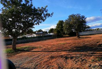 Terreno en  Marines, Valencia/valència Provincia