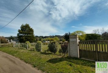 Terrenos en  Calle Querini, Sierra De Los Padres, General Pueyrredón, Provincia De Buenos Aires, Arg