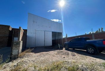 Galpónes/Bodegas en  Plottier, Neuquen