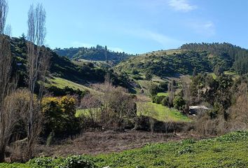 Parcela en  Navidad, Cardenal Caro