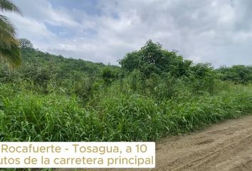 Terreno Comercial en  Rocafuerte