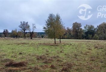 Parcela en  Chillán, Ñuble (región)