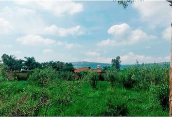 Lote de Terreno en  Jardines De La Calera, Tlajomulco De Zúñiga