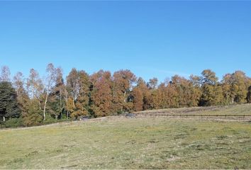 Parcela en  Gorbea, Cautín