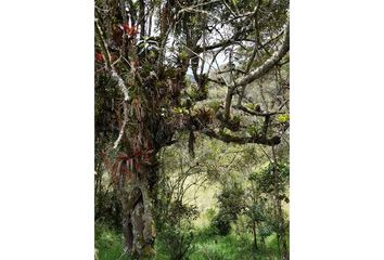 Lote de Terreno en  La Calera, Cundinamarca