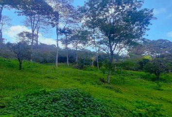 Lote de Terreno en  San Francisco, Cundinamarca