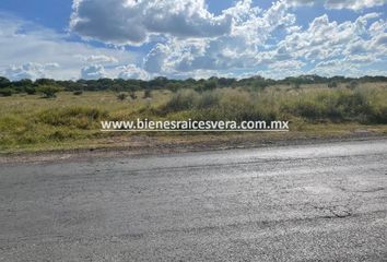 Lote de Terreno en  Carretera Acceso A Santillán, Tequisquiapan, Querétaro, 76790, Mex