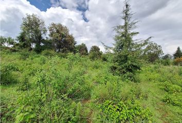 Lote de Terreno en  Lázaro Cárdenas, Pátzcuaro, Michoacán