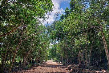 Lote de Terreno en  Tulum, Tulum