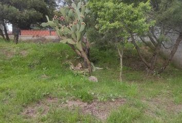 Lote de Terreno en  Avenida Juarez 46, Santa María Atlihuetzian, Yauhquemehcan, Tlaxcala, 90459, Mex