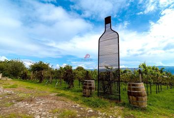 Lote de Terreno en  Carretera Jiquilpan-guadalajara, Tuxcueca, Jalisco, Mex