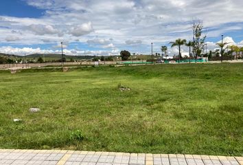 Lote de Terreno en  Fraccionamiento Lomas De  Angelópolis, San Andrés Cholula