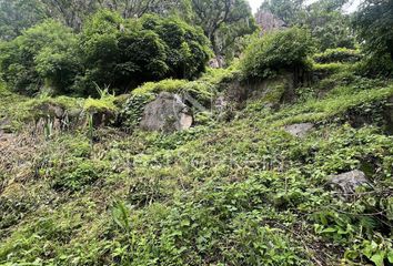 Lote de Terreno en  Calle Carretera A La Peña 60, La Peña, Valle De Bravo, Valle De Bravo, México, 51200, Mex