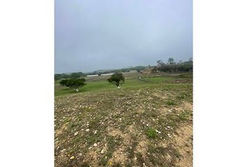 Lote de Terreno en  Avenida De Los Sabinos, Florines, Ciudad De Allende, Allende, Nuevo León, 67350, Mex