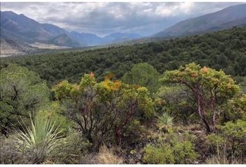 Lote de Terreno en  Carretera Ramal A Carbonera, Arteaga, Coahuila De Zaragoza, 25364, Mex