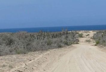 Lote de Terreno en  Boulevard Santos Degollado, San Vicente, Todos Santos, La Paz, Baja California Sur, 23300, Mex