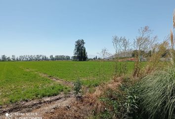 Parcela en  San Bernardo, Maipo