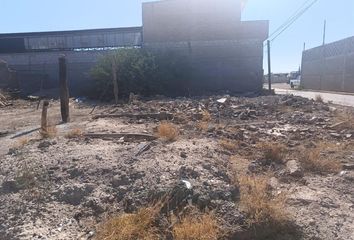 Lote de Terreno en  La Muralla, Torreón