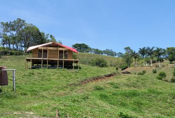 Lote de Terreno en  Palestina, Caldas