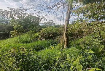 Lote de Terreno en  Montenegro, Quindío