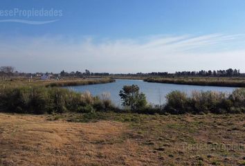 Terrenos en  Villa Nueva, Partido De Tigre