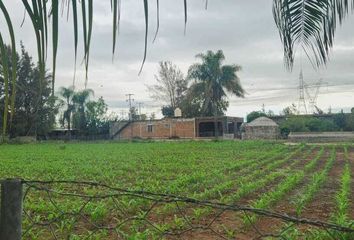 Rancho en  La Laja, Zapotlanejo