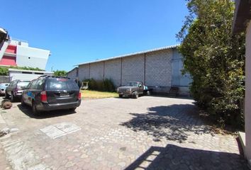 Bodega-Galpon en  Calderón, Quito