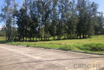 Lote de Terreno en  Revolución, Xalapa-enríquez