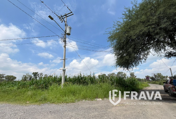 Lote de Terreno en  45679, La Alameda, Jalisco, Mex