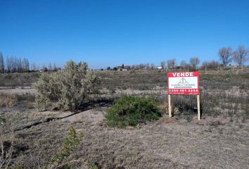 Terrenos en  San Rafael, Mendoza, Arg