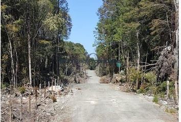 Parcela en  Puerto Montt, Llanquihue