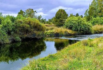 Parcela en  Los Muermos, Llanquihue