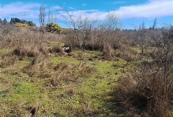 Parcela en  Yumbel, Bío-bío