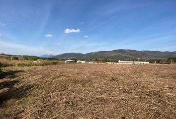 Lote de Terreno en  29129, Ribera Álvaro Obregón, Chiapas, Mex