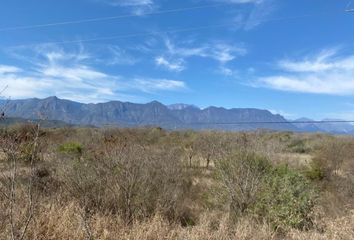 Lote de Terreno en  Montemorelos Centro, Montemorelos