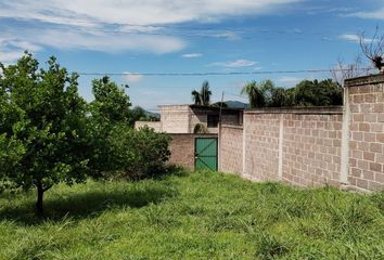 Lote de Terreno en  Miguel Hidalgo, Morelos