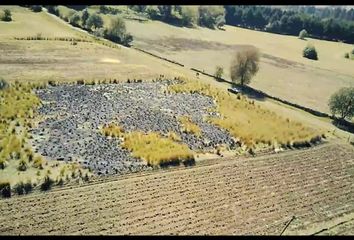 Lote de Terreno en  Tianguistenco, Estado De México