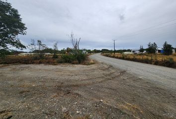 Parcela en  Ancud, Chiloé