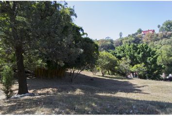 Lote de Terreno en  Rancho Cortes, Cuernavaca, Morelos