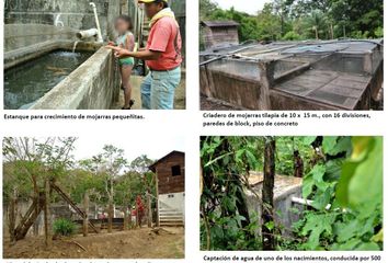 Rancho en  Avenida Niños Héroes, Comoapan, San Andrés Tuxtla, Veracruz De Ignacio De La Llave, 95805, Mex