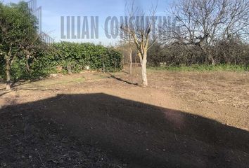 Terreno en  Huevar De Aljarafe, Sevilla Provincia