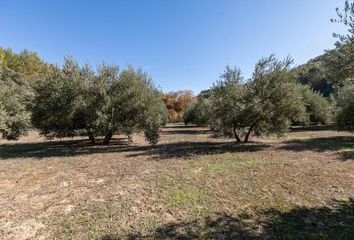 Terreno en  El Chaparral, Granada Provincia