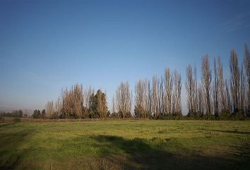 Parcela en  San Ignacio, Ñuble (región)