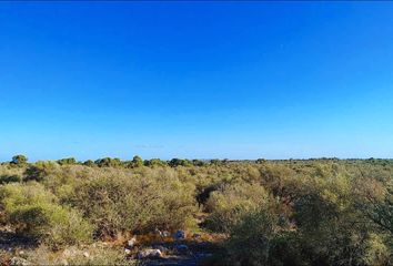 Terreno en  Vallgornera, Balears (illes)